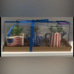 American Succulent Set Of 3 Ceramic Pot, Plastic Succulent,  Real Stone.